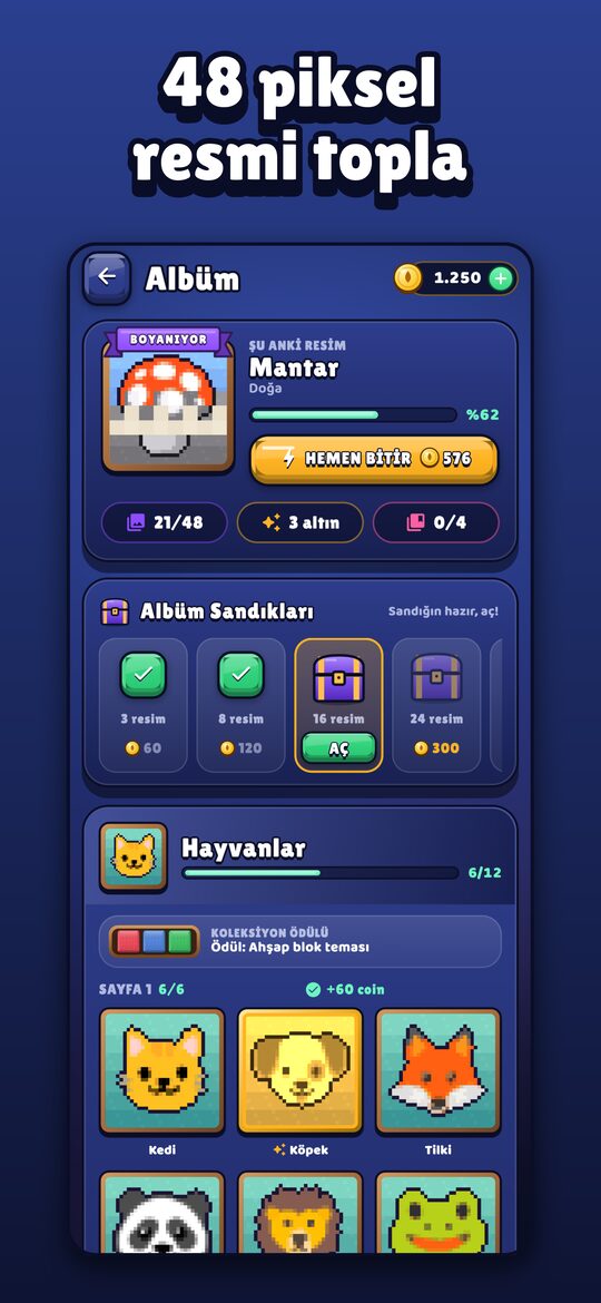 48 piksel resmi topla
